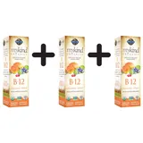 Garden of Life mykind Organics B-12 Spray 58 ml