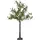 Star Trading LED Dekobaum Olivec,