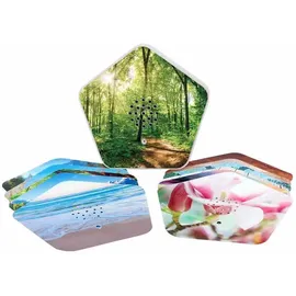 Olympia Sounds of Nature Box OLYMP