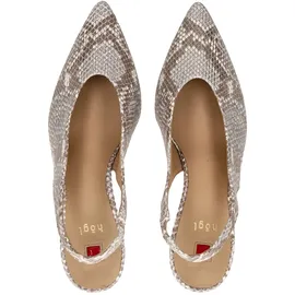 HÖGL Pumps in Taupe | 38