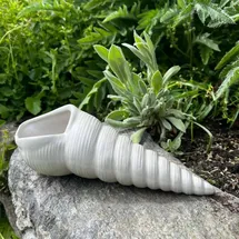 ZGM Betonfigur Muschel - längliche Muschelfigur mit viel Charme und Charakter