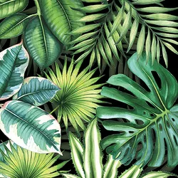 20 Servietten Papier 33x33cm 3-lagig - hochwertige Einweg Papierservietten Tropenblätter Motiv Monstera Palmen Partyservietten Blättermotiv Dschungel