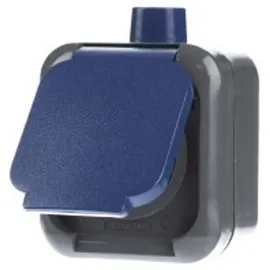 Busch-Jaeger Schuko-Steckdose 2-polig Blau 1 St.