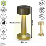 Cepewa Lucinella Gold