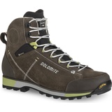 Dolomite 54 Hike Evo GTX Herren mud green/green 45 2/3