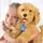 JoyToy Moji Labradoodle 35 cm Mehrfarbig