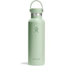 Hydro Flask Standard Mouth Flex Cap Aloe