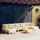 vidaXL Garten-Lounge-Set 8-tlg. creme Kiefernholz