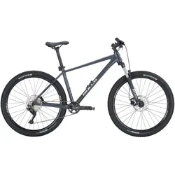 Bulls Copperhead 1 29'' grau 2024 - 29" - 60 cm