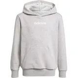 adidas Kinder Kapuzensweat Essentials Kids, Größe 176 grau