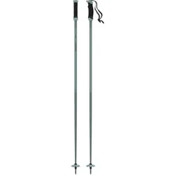 ATOMIC Herren Alpin-Skistock AMT SQS W Q-Green., Green/, 115
