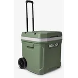 Igloo Igloo, Kühlbox, (56 l)