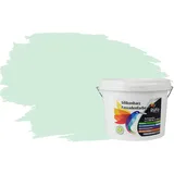 RyFo Colors Silikonharz Fassadenfarbe Lotuseffekt Trend Aloegrün 3l - bunte Fassadenfarbe, weitere Grün Farbtöne und Größen erhältlich, Deckkraft Klasse 1