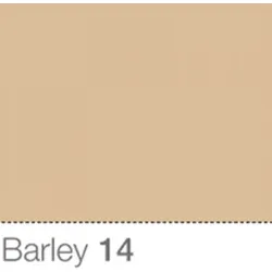 COLORAMA Hintergrund Barley 1.35x11m #014 (Sperrgut)