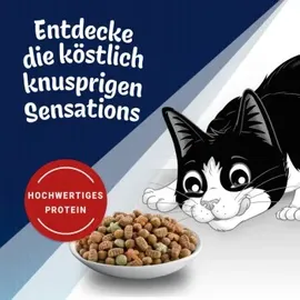 FELIX Ozean Sensations 1 kg