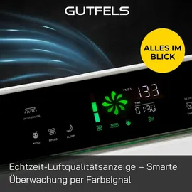 Gutfels LR 67014 we