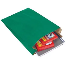 100 VP Faltenbeutel grün 15,0 x 21,0 cm