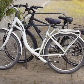 Trutzholm Fahrradständer Fahrradanlehnbügel 115 x 76 cm Flachstahl 13 mm Anthrazit
