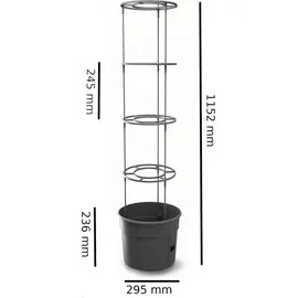 Botle Tomatenpflanze 12 l Ø 30 x 30 cm Schwarz Komplettset