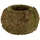 Esschert Design Kokedama Moos-Kugel M Ø 14,5 cm Grün
