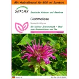 SAFLAX - Garden in the Bag - Bergamotte / Oswego Tee - 20 Samen - Mit Substrat im passenden Standbodenbeutel - Monarda didyma
