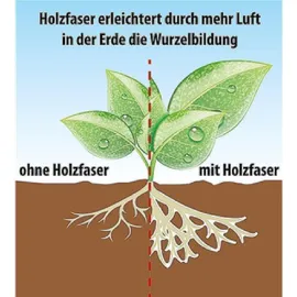 Frux Bambus & Gräsererde