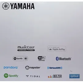 Yamaha MusicCast 20 (WX-021) schwarz