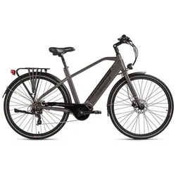 Hollandia E-Trekkingbike »Mantova«, 7 Gänge, max. 25 km/h, grau