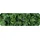 Logilink ID0169 "Wald" Gaming Tastaturpad mit schmal Handgelenkauflage Grün