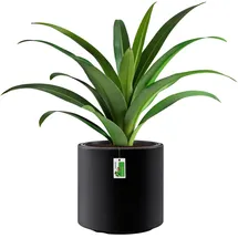 Prosperplast Heos Ø 30 x 29 cm Anthrazit