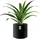 Prosperplast Heos Ø 30 x 29 cm Anthrazit