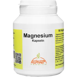 Magnesium Kapseln 90 St