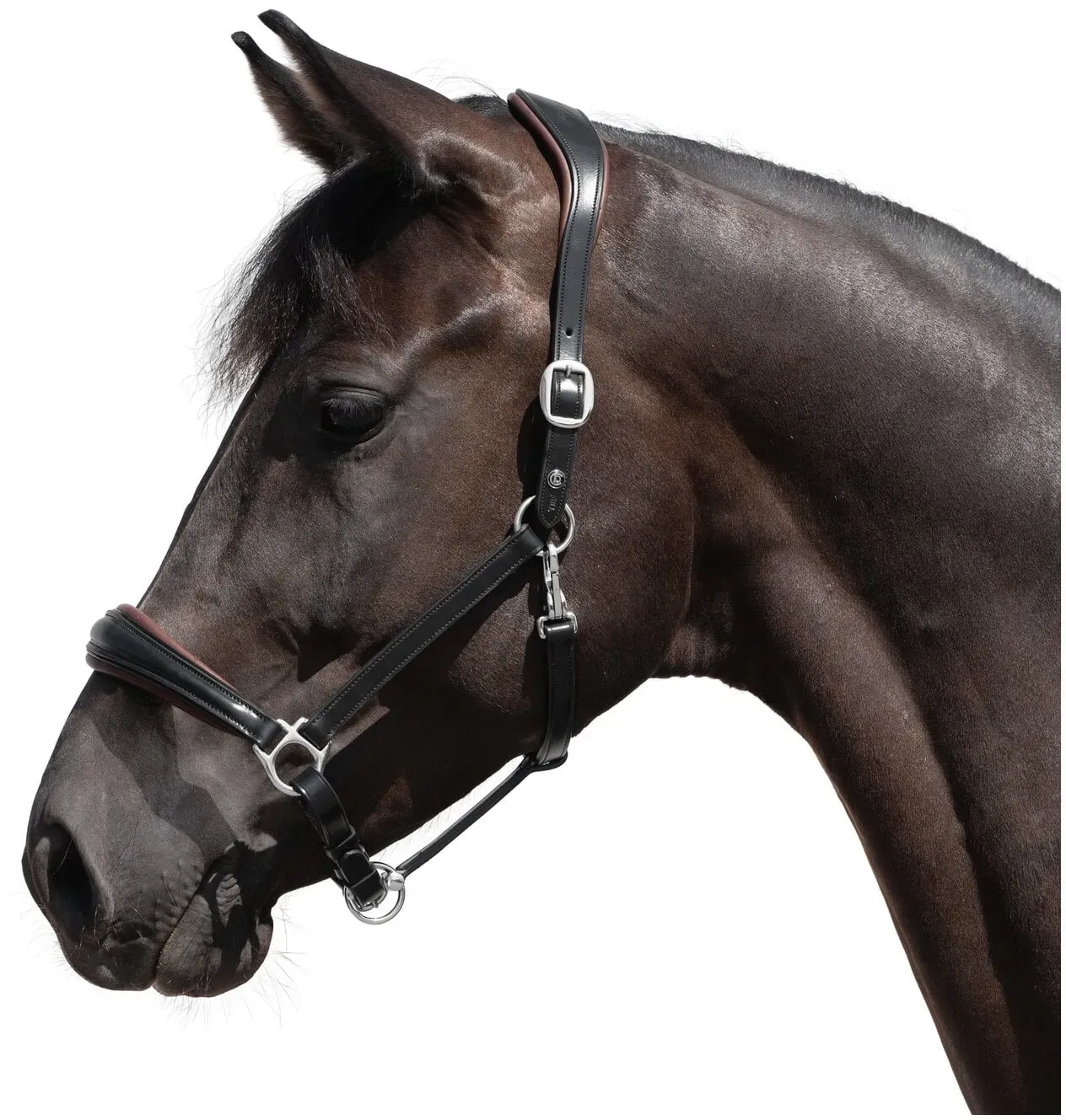 Cheval de Luxe Lederhalfter schwarz VB