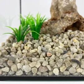 Schicker Mineral Aquarienkies beige 25 kg