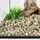 Schicker Mineral Aquarienkies beige 25 kg