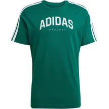 adidas Herren Shirt Codes Collegiate Linear, CGREEN, XL