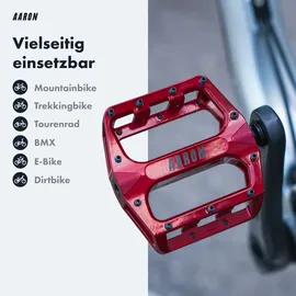 Aaron Rock MTB Pedale Rot