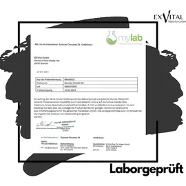 Exvital Mumijo Shilajit Harz 85+ 30 g