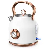 NESSGRAIM Retro Wasserkocher, 1,7L Edelstahl-Teekessel mit Großer Temperaturanzeige, 2200W Schnell Aufheizender Heißwasserboiler mit LED-Indikator, Automatischer Abschaltung( weiss)
