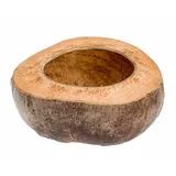 NaDeco Kokosschale halbiert im Querschnitt, Größe 18x10cm | Deko Kokosnuss halbiert | Kokosnussschale | halbierte Kokosnuss | Kokosbecher | Vogelspielzeug | Aquarium-Deko | Natürlicher Blumentopf