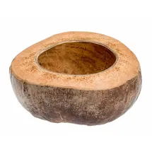 NaDeco Kokosschale halbiert im Querschnitt, Größe 18x10cm | Deko Kokosnuss halbiert | Kokosnussschale | halbierte Kokosnuss | Kokosbecher | Vogelspielzeug | Aquarium-Deko | Natürlicher Blumentopf