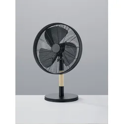 TRIO R035-32 Standventilator Viking - verstellbar, Top-Design