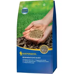 Kiepenkerl Regenerations-Rasen 1 kg Rasensamen Rasenmischung Rasen