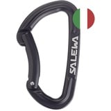 Salewa HOT G3 BENT CARABINER, Schwarz