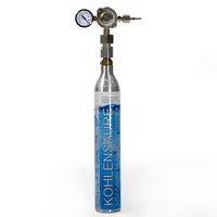 425g CO2-Zylinder mit Druckregler inkl. Schlauchanschluss und Manometer sowie passendem Adapter auf Wassersprudler Kohlensäure Flasche Sodasprudler Konverter