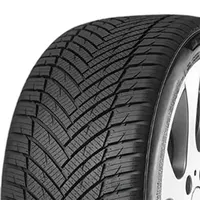 Minerva 4x Ganzjahresreifen MINERVA AS MASTER 165/60R14 79H XL