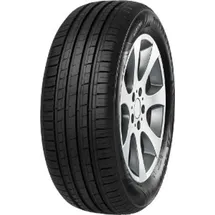 MINERVA F209 205/70 R14 95V