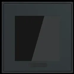 BUSCH-JAEGER Display 2,4" Format 70 - SD/U12.70.11-4015