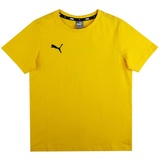 Puma Kinder teamGOAL 23 Casuals Tee Jr T-shirt, Cyber Yellow, 176