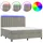 vidaXL Boxspringbett mit Matratze & LED Hellgrau 160x200 cm Samt